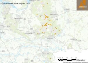 kaart locaties dode wilde zwijnen Veluwe