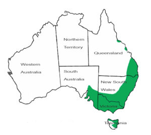 Kaart Verspreidingsgebied Europese haas in Australië.