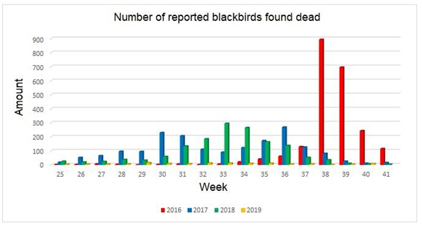 Figure 1. Number of dead blackbirds reported