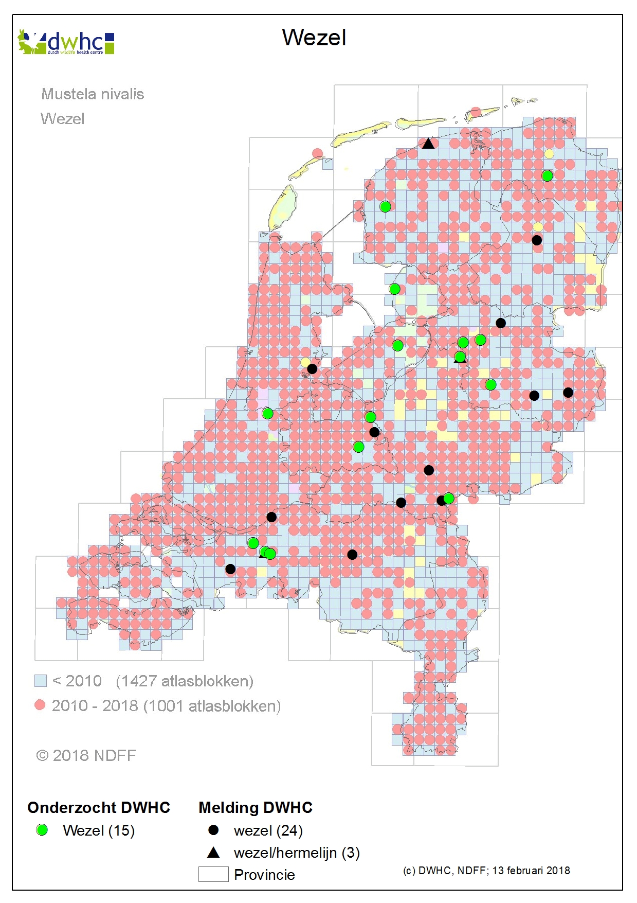 kaart van Nederland met DWHC meldingen en NDFF verspreidingskaart van de wezel