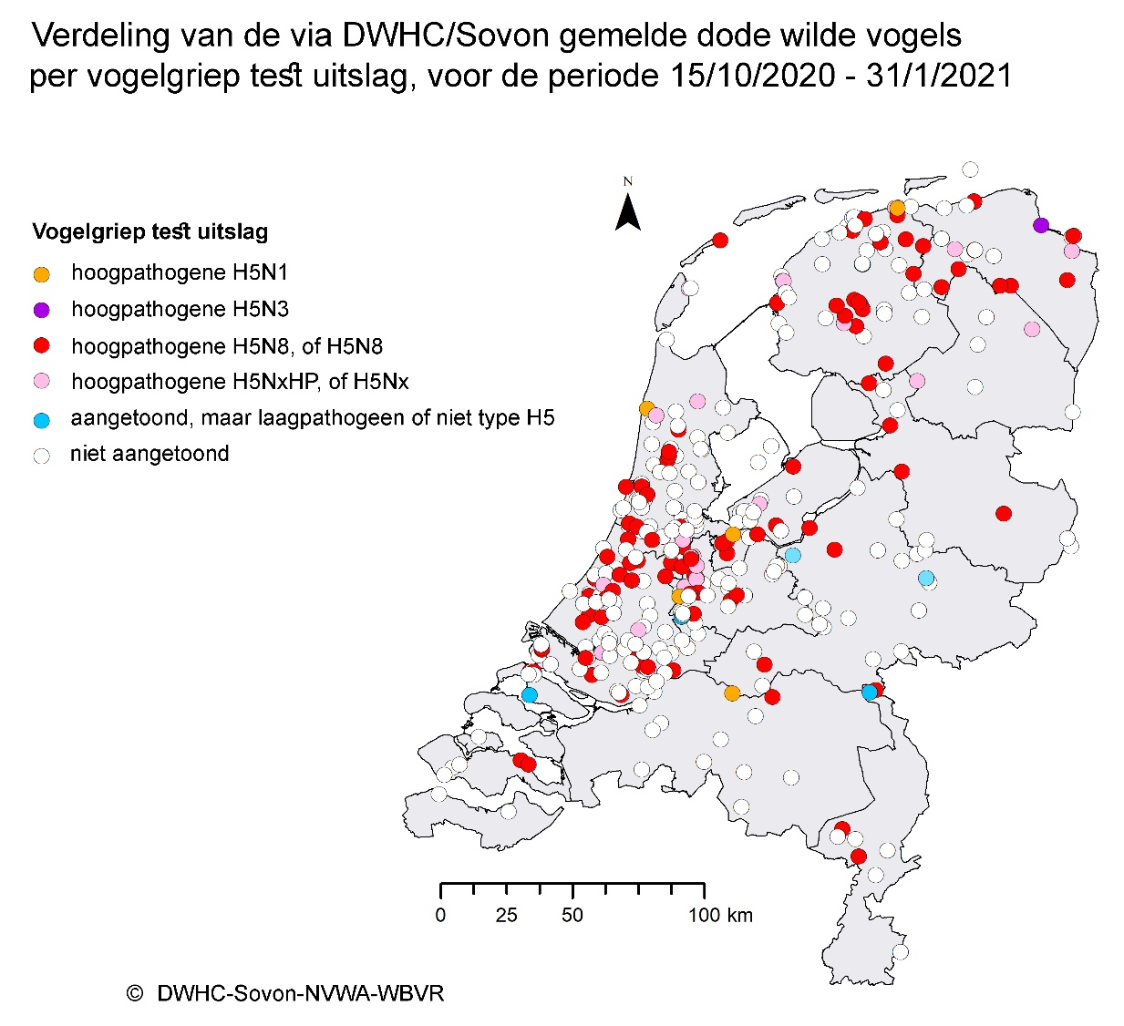 Update avian influenza | Dutch Wildlife Health Centre (DWHC)