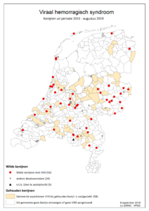 kaart konijnen met rhdv