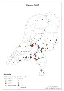 kaart van Nederland met onderzochte en gemelde dode merels
