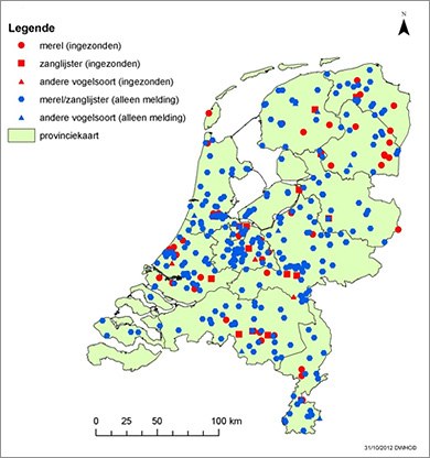 Plaats van vondst van de in oktober 2012 bij het DWHC gemelde dode vogels