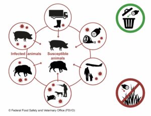 besmettingsroutes AVP