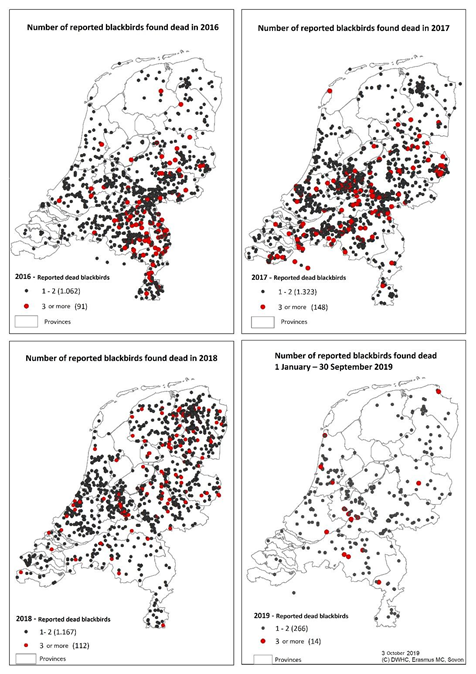 figure reported dead blackbirds 2016-2019